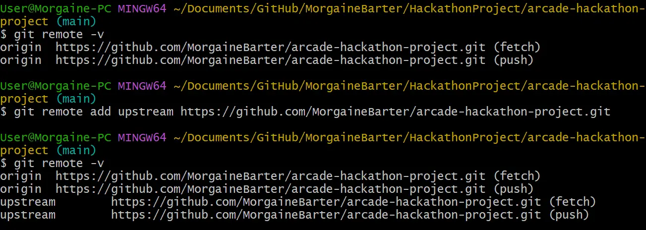 Image showing terminal git remote repos