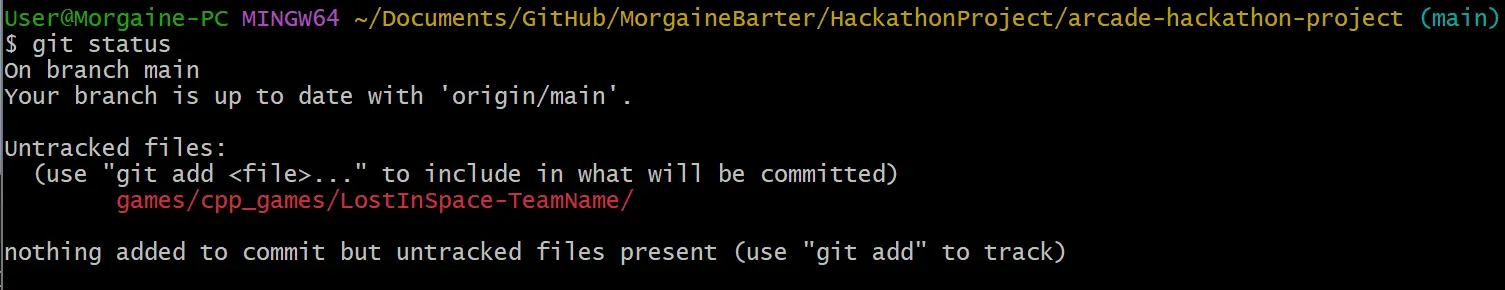 Image showing terminal git status command before staging