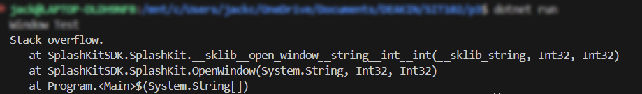 Stack Overflow Error in Terminal