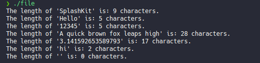 length_of-1-checker example